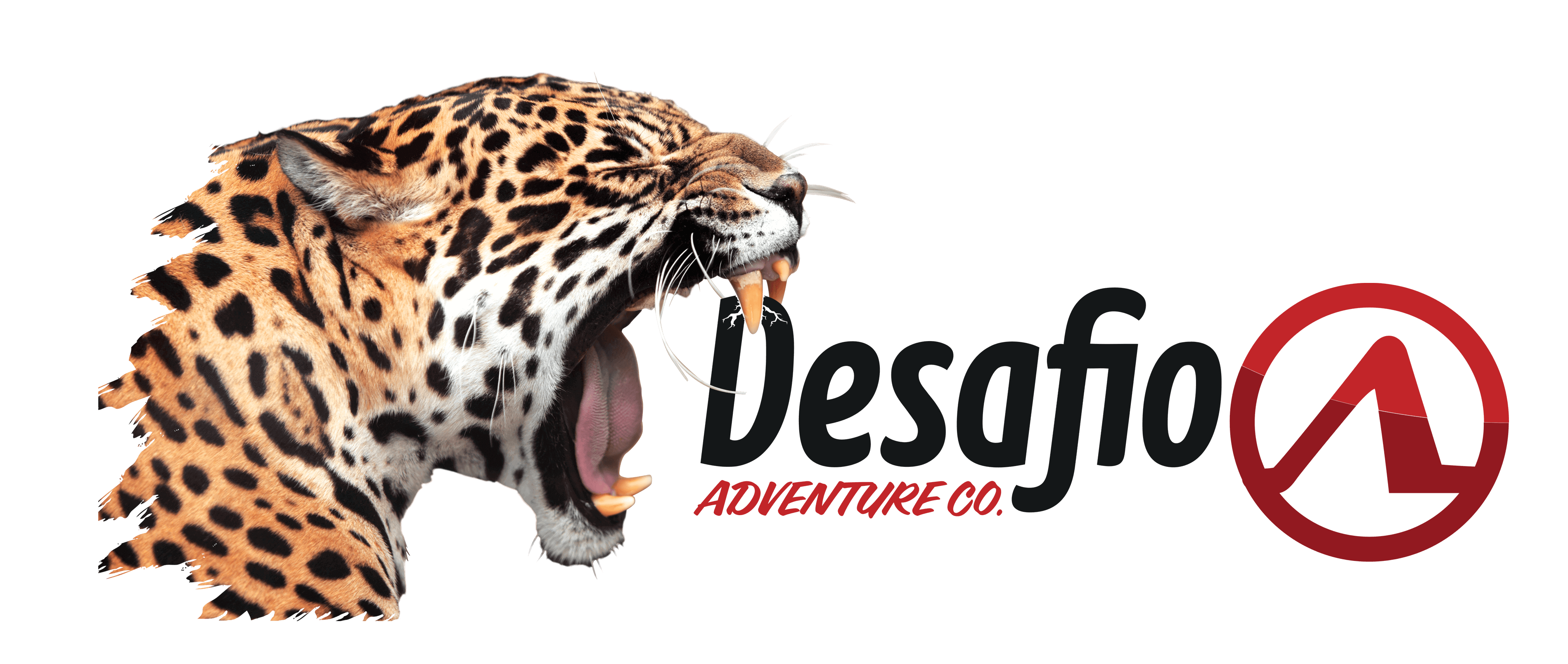 Desafio Adventure Company